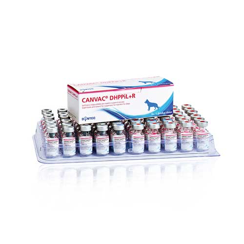 واکسن 8 گانه + هاری (DHPPiL + R) کنواک